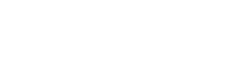 Wolf & Shore Law Group